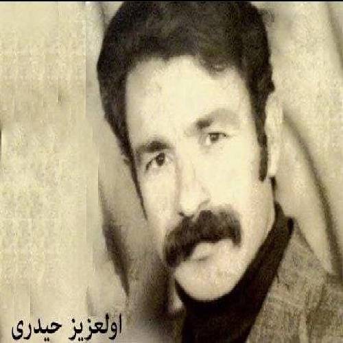 ابوالعزیز حیدری ولی گیان